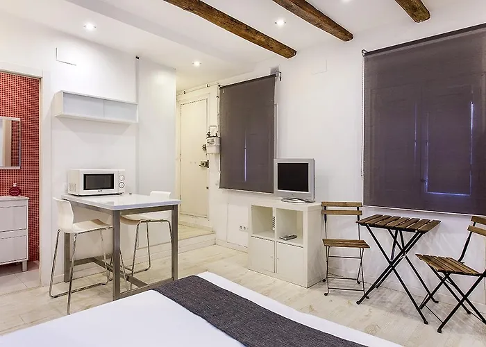 Studio Carrer Del Torrent De L'olla * Barcelona