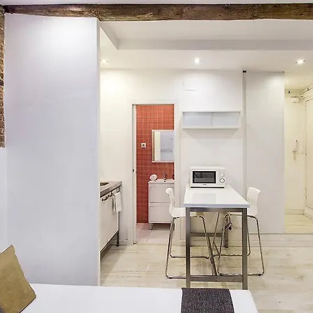 公寓 Studio Carrer Del Torrent De L'olla 巴塞罗那