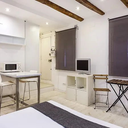 Studio Carrer Del Torrent De L'olla * Barcelona